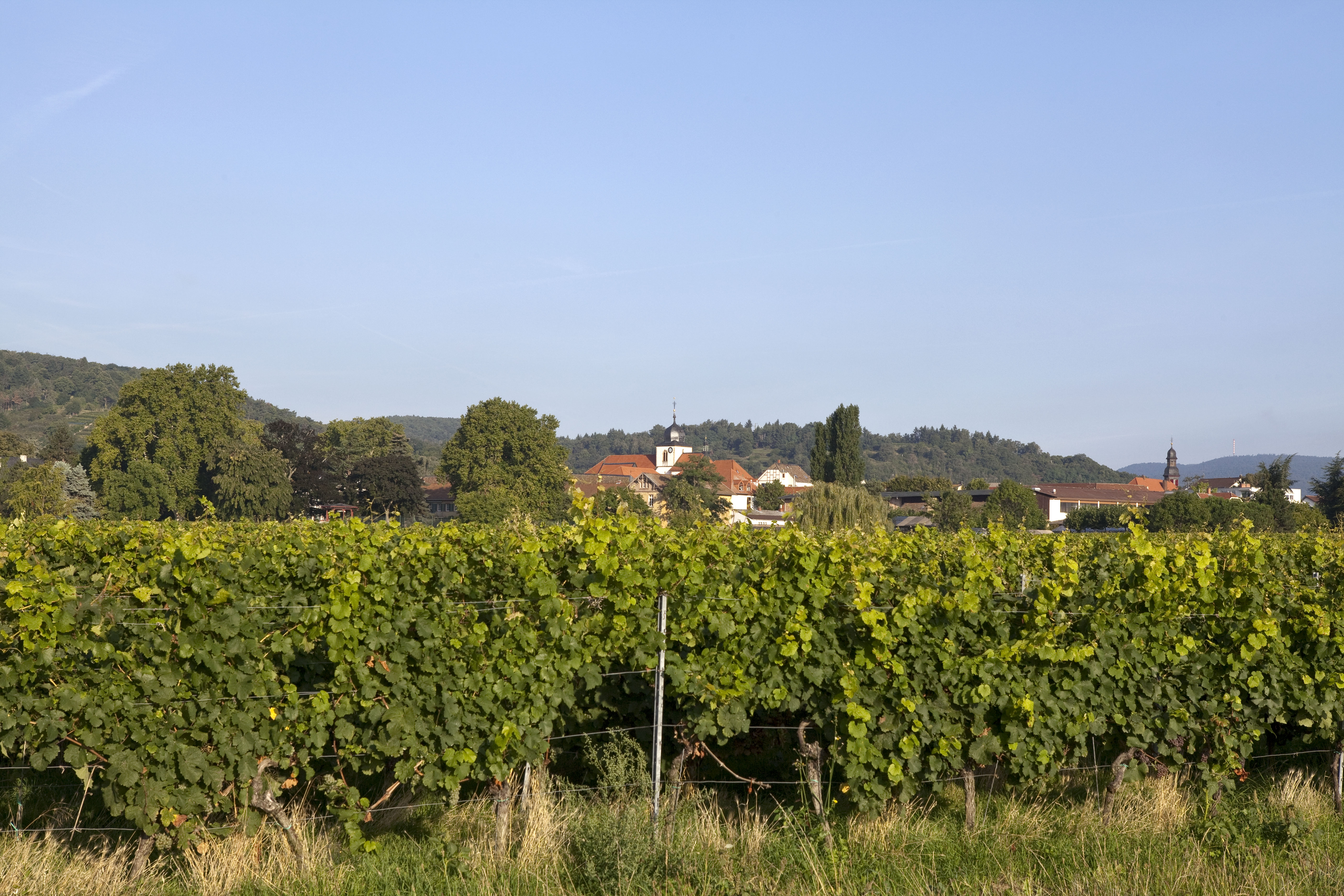 Bild der Lage Luginsland